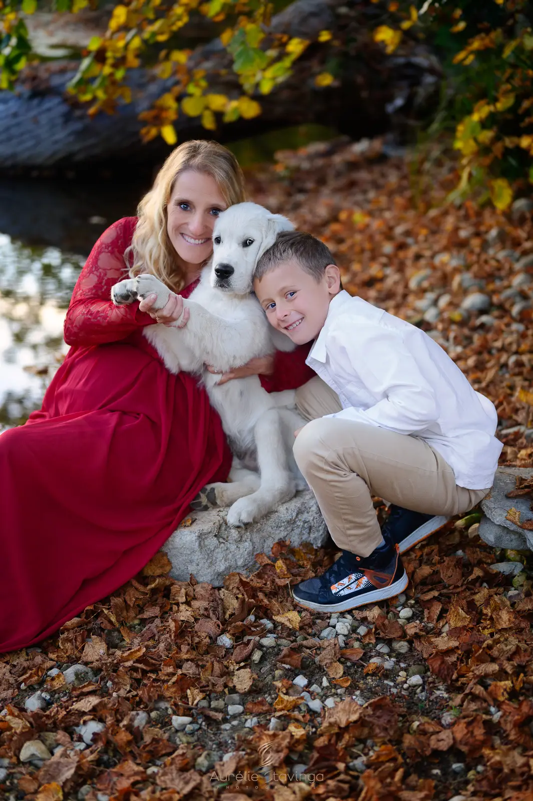 Photographe animaux chien labrador famille grenoble voiron - Aurélie Stavinga photographe Grenoble Voiron
